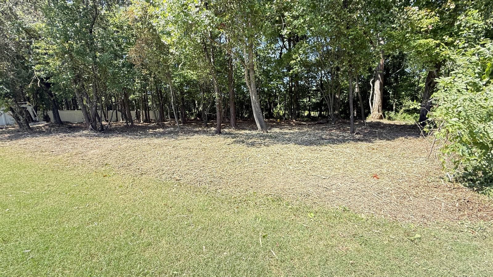 The same backyard tree line in Youngsville, NC, after forestry mulching, with brush removed and a mulch layer under the trees